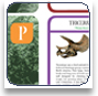 Dinosaur Cards